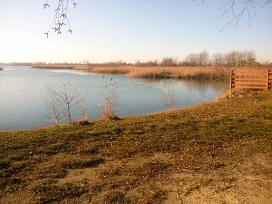 Przystań Bryza w Otałęży - zdjęcie 3