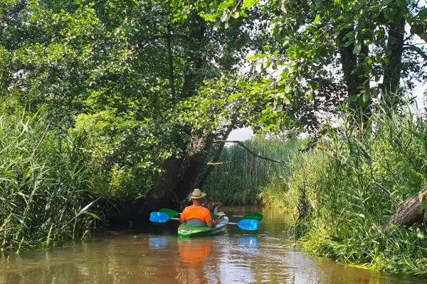 Zdjęcie trasy Hutki – Guciów 1