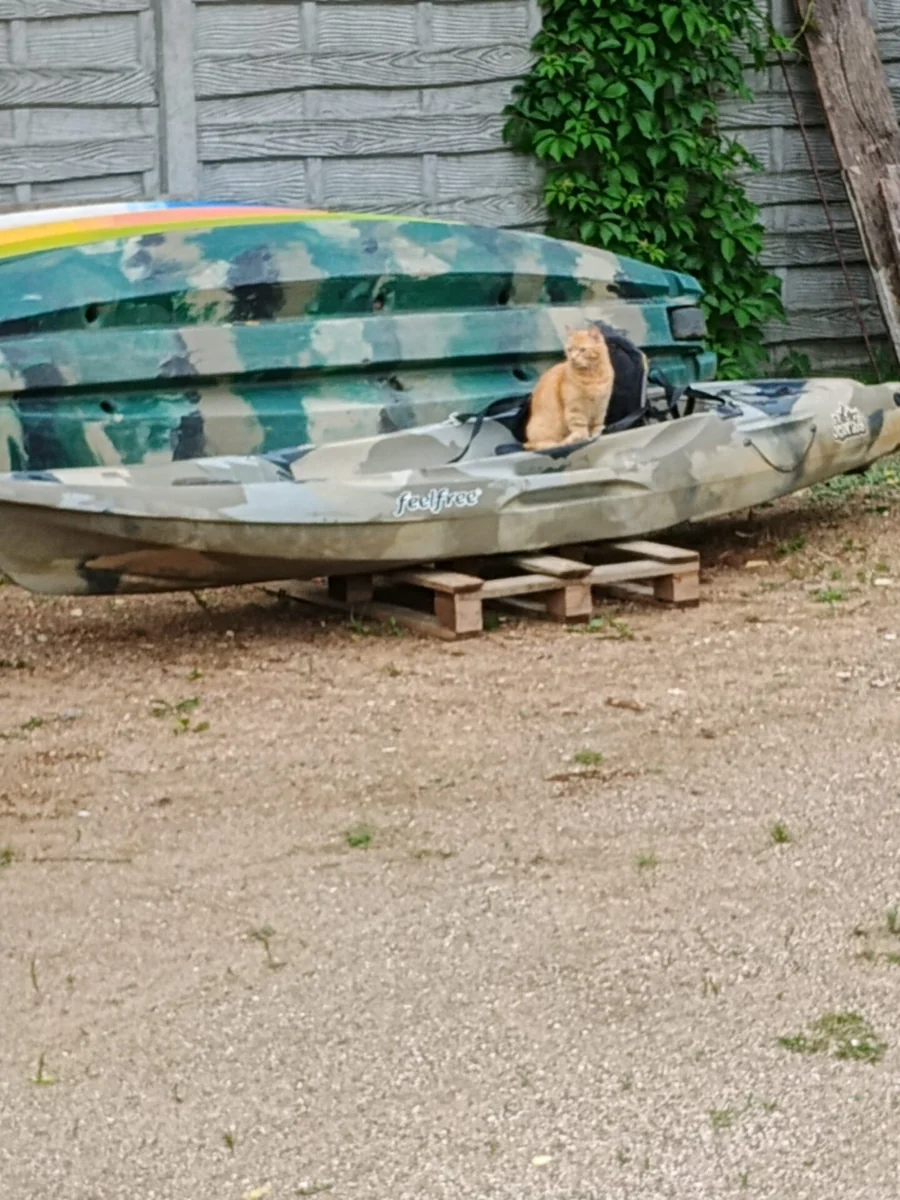 TOP-KAJAK. Kajaki i SUPy - zdjęcie galerii