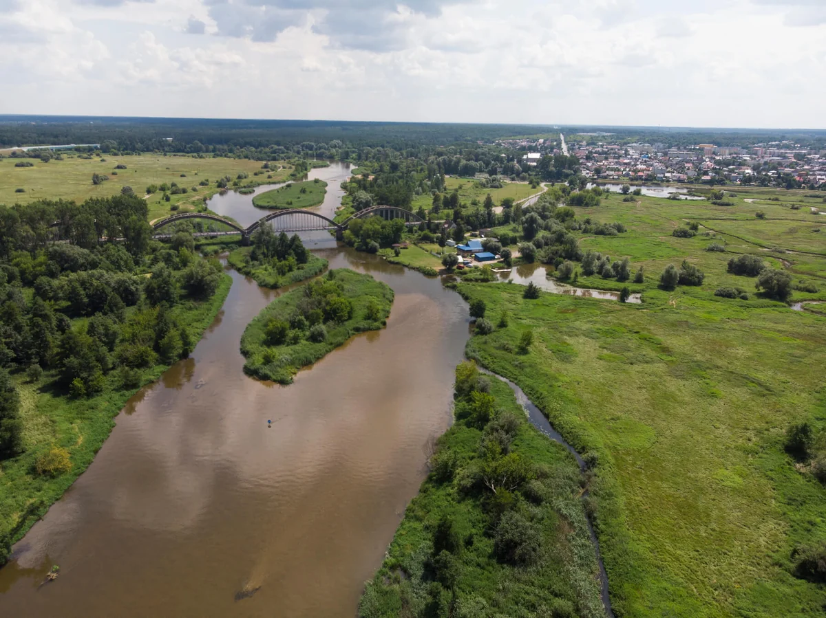 WOPR Białobrzegi - Kajaki Pilicą - zdjęcie 4