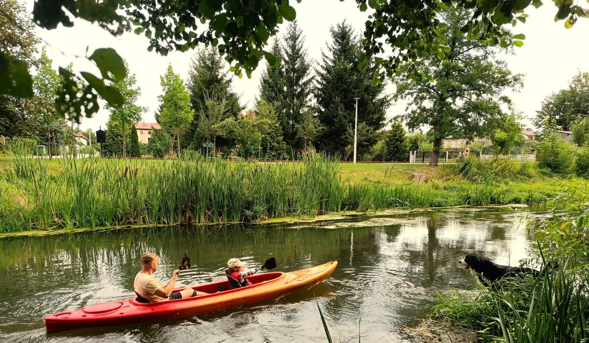 Kajaki Szczerców - zdjęcie 3
