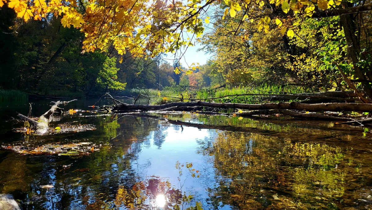 NADOLNY Wypożyczalnia Kajaków - zdjęcie galerii
