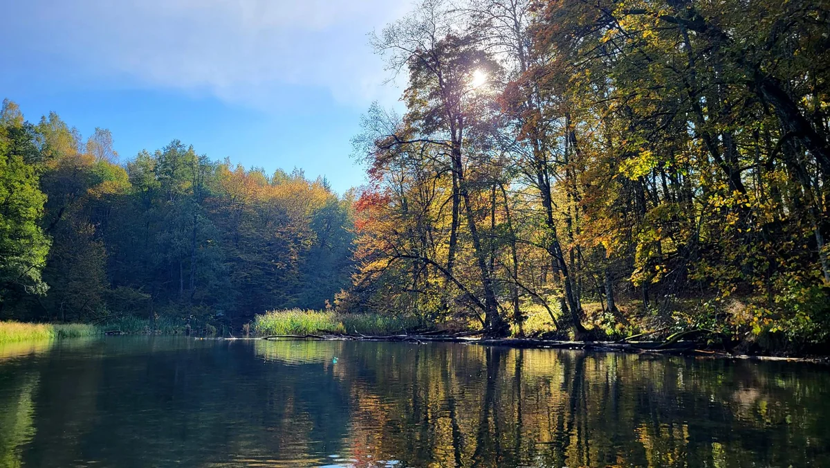 NADOLNY Wypożyczalnia Kajaków - zdjęcie galerii