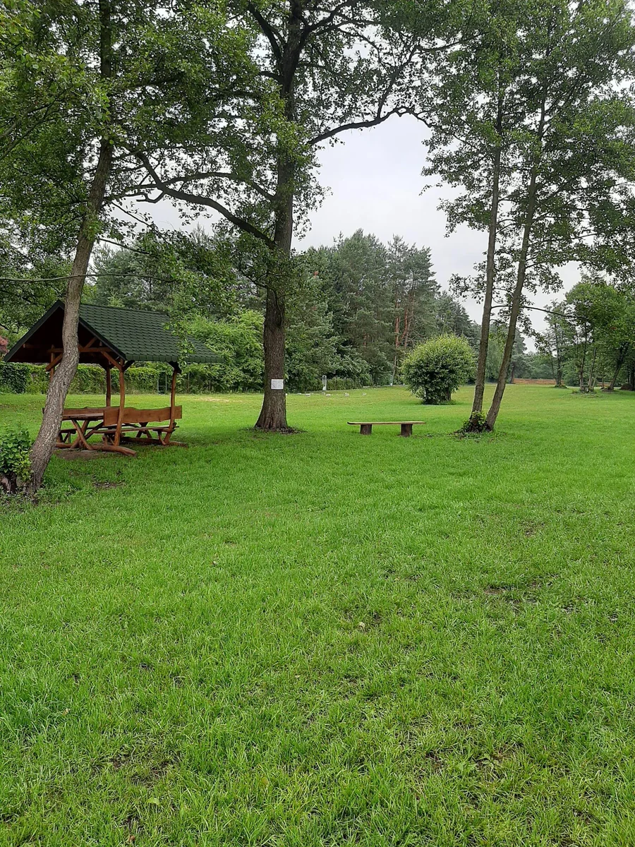 Kajaki Pod Lasem - zdjęcie galerii