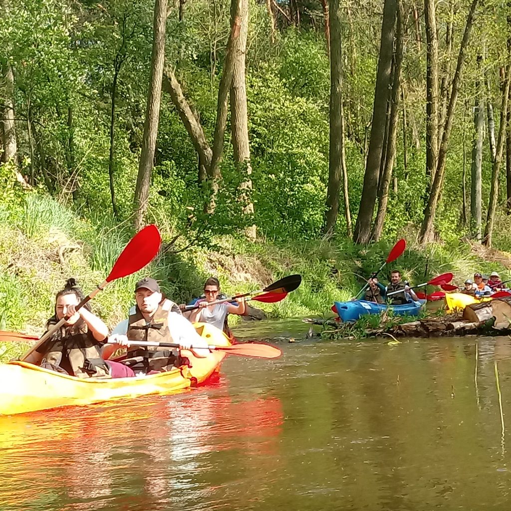 Kajaki Studzianka - zdjęcie galerii