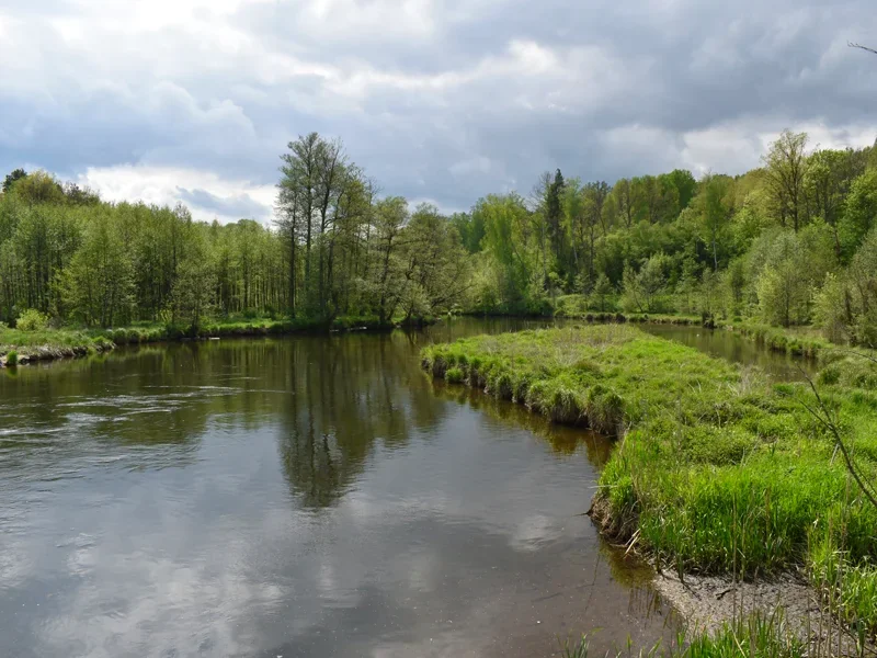 Kajaki MIKO Gródek - Spływy Kajakowe Wdą - zdjęcie galerii