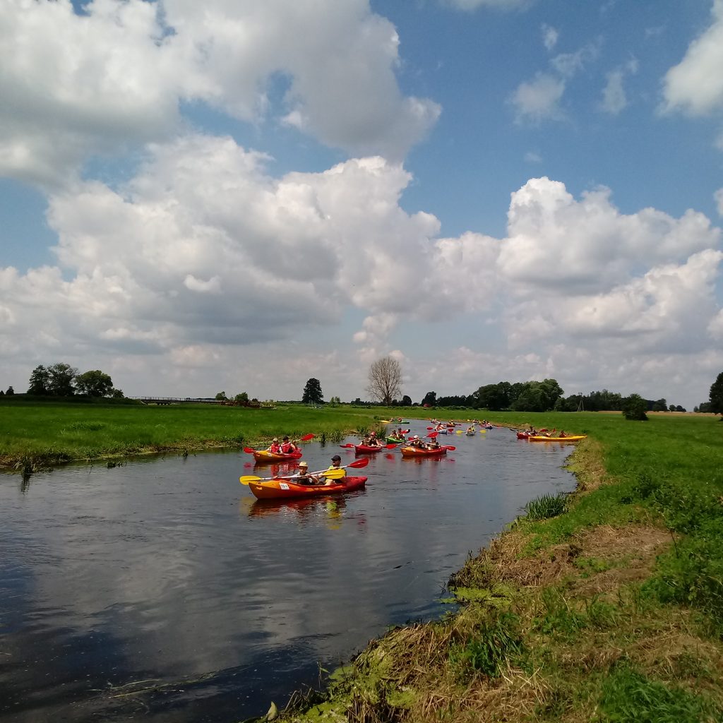 Kajaki Studzianka - zdjęcie galerii