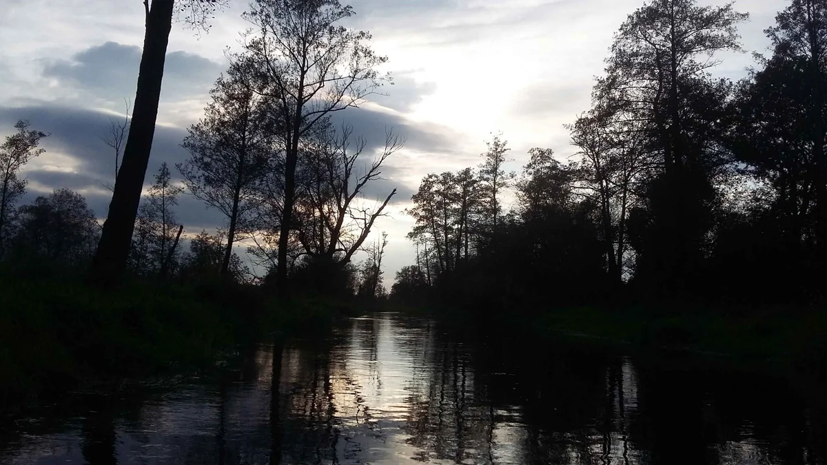 Kajaki Mazowsze - Kajaki pod Warszawą na Jeziorce - zdjęcie galerii