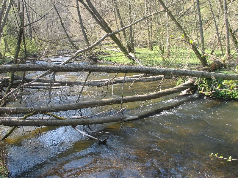 Kaszubskie Kajaki - zdjęcie galerii