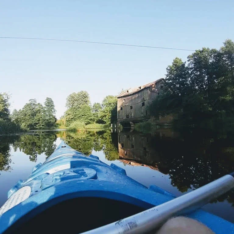 Śliwkowy Zakątek - zdjęcie galerii