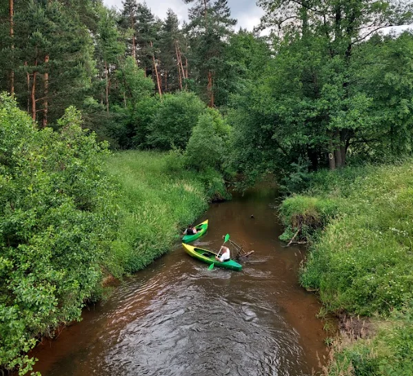 Zdjęcie trasy Żyłka – Kielcza 2