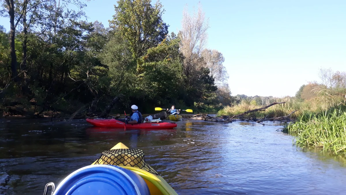 Spływy kajakowe Riviera Sandomierz - zdjęcie galerii