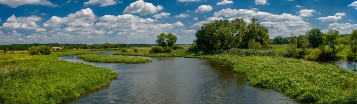 Spływy Kajakowe Tanew Ranczo Pisklaki - zdjęcie galerii