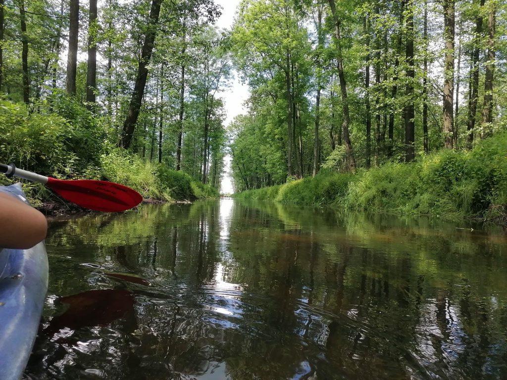 Kajaki Studzianka - zdjęcie galerii
