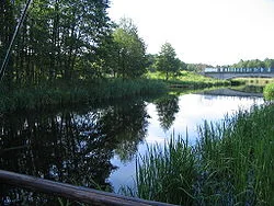Kajaki.pl - kajaki polietylenowe - spływy kajakowe - zdjęcie 3