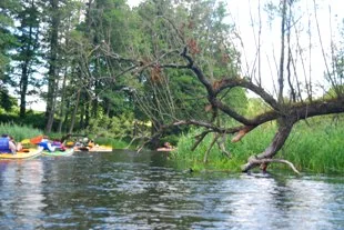 Kajaki.pl - kajaki polietylenowe - spływy kajakowe - zdjęcie galerii