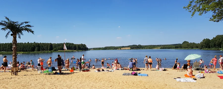Spływy kajakowe Drzewiczką - zdjęcie galerii