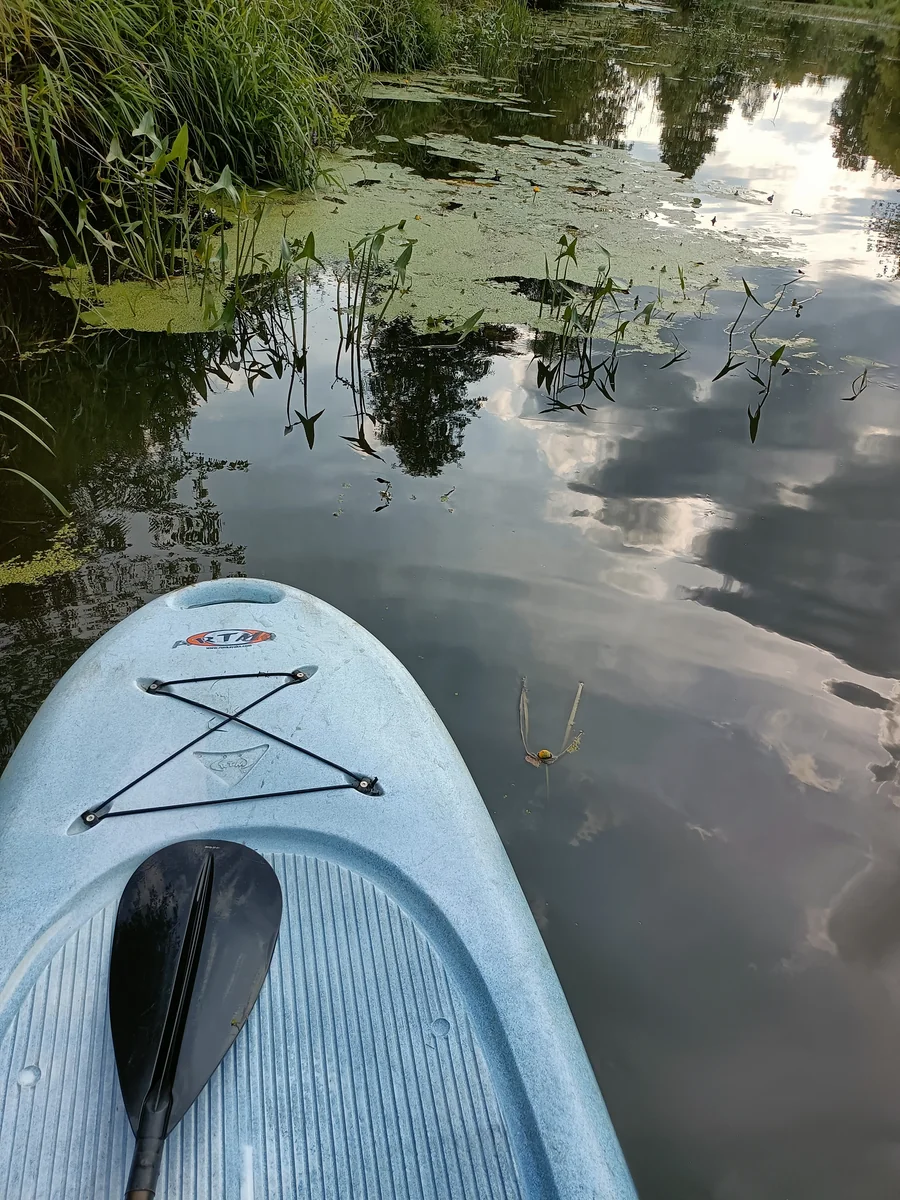 ART RIO kajaki Świder - zdjęcie galerii