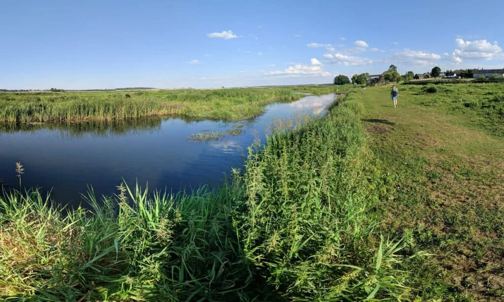 Przystań Drozdy Gospodarstwo Agroturystyczne - zdjęcie galerii
