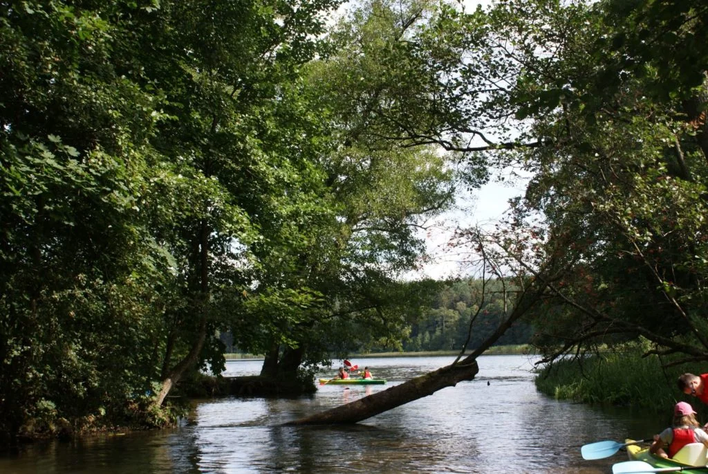 Kajak Marina Swaderki - zdjęcie galerii