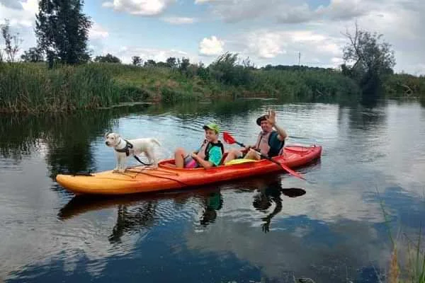 Śląskie Kajaki - spływy kajakowe Brynica - zdjęcie 4
