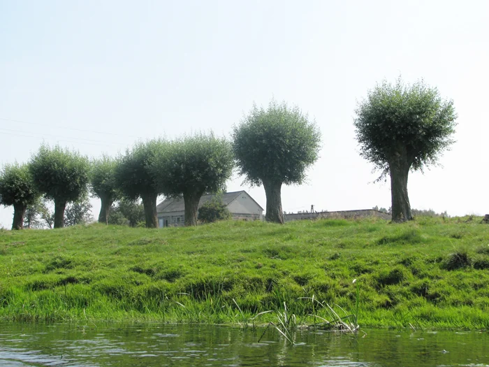 Kajaki Wkra Arka - zdjęcie 3