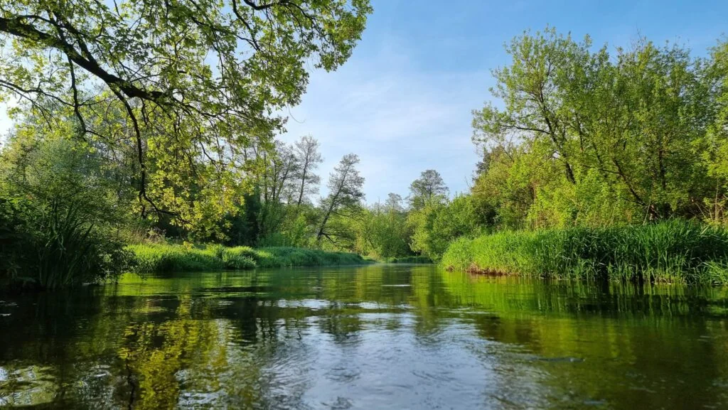 Dzikie spływy Wypożyczalnia kajaków - zdjęcie galerii