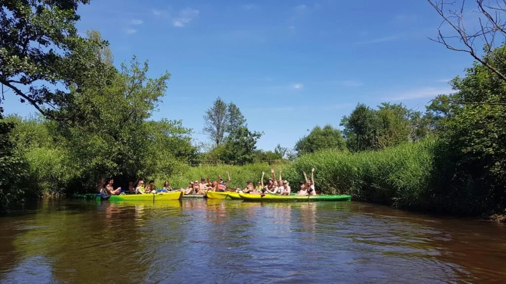 Dzikie spływy Wypożyczalnia kajaków - zdjęcie galerii