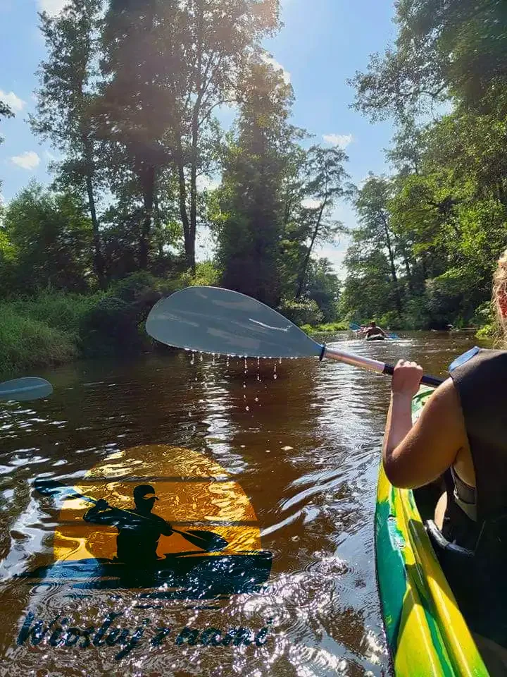 Spływy kajakowe Nida "Wiosłuj z nami" - zdjęcie 3
