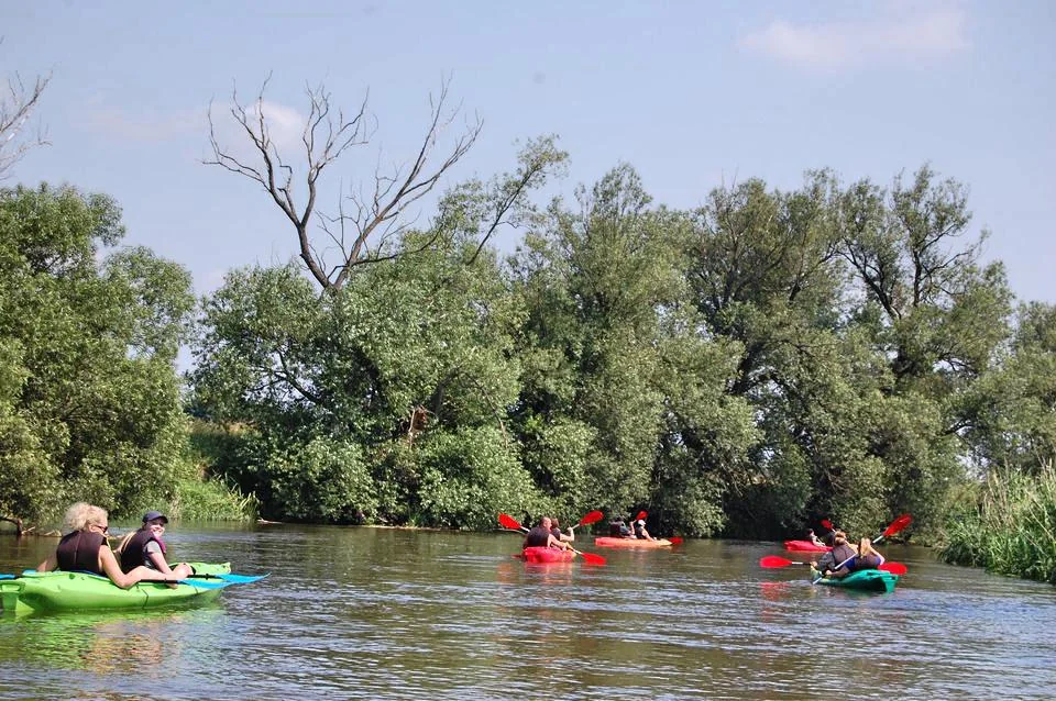 Wypożyczalnia Kajaków Szumiące Wierzby - zdjęcie 3