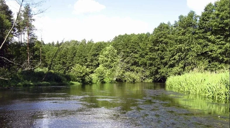 AROKAJAKI - Spływy kajakowe Tleń - zdjęcie galerii