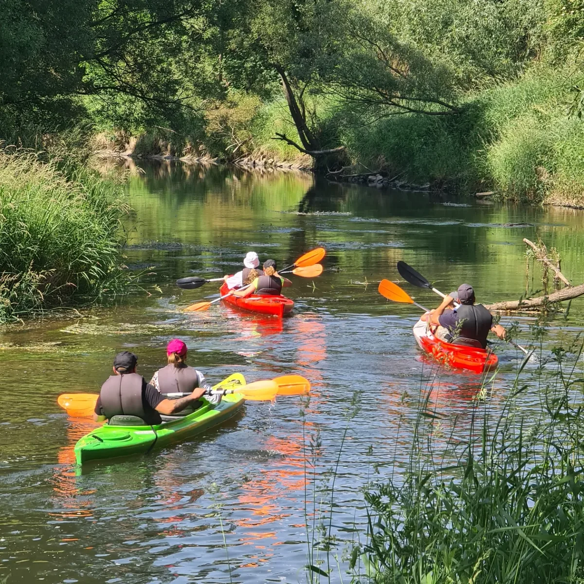 Przystań Buryłówka - Spływy Kajakowe / Camping / Kajaki Kwisą - zdjęcie galerii