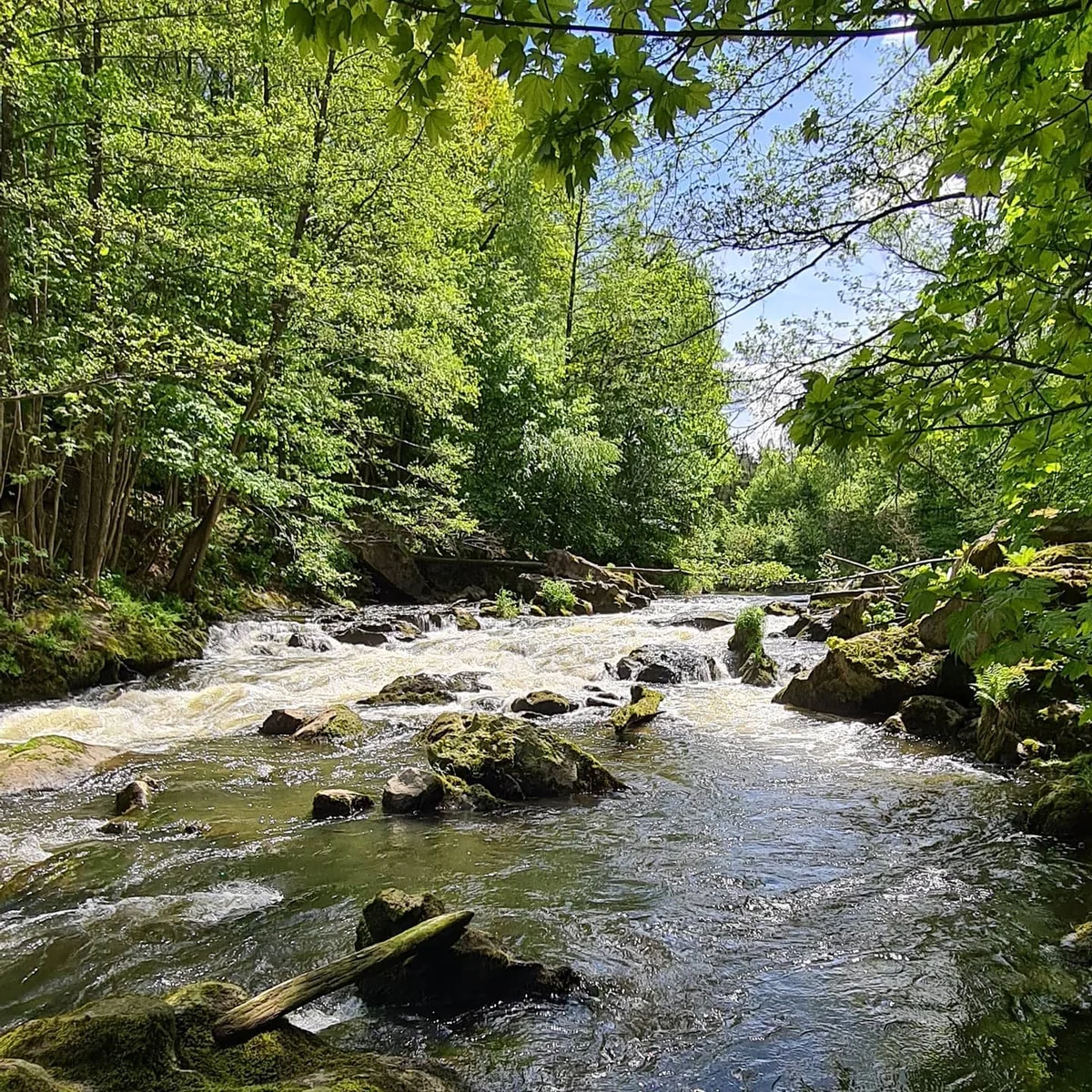 Przystań Buryłówka - Spływy Kajakowe / Camping / Kajaki Kwisą - zdjęcie galerii