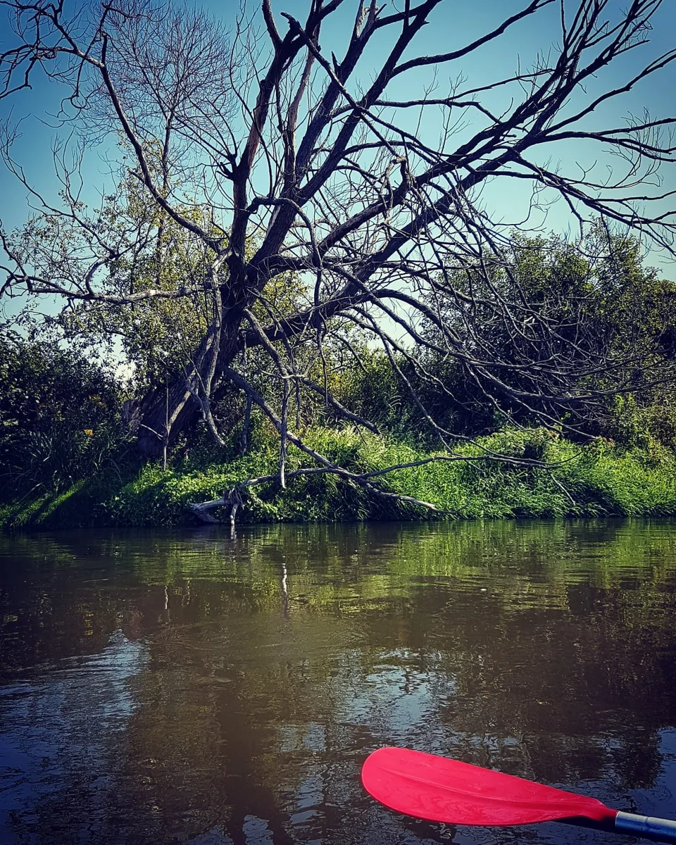 Kajaki nad Pilicą - zdjęcie 3