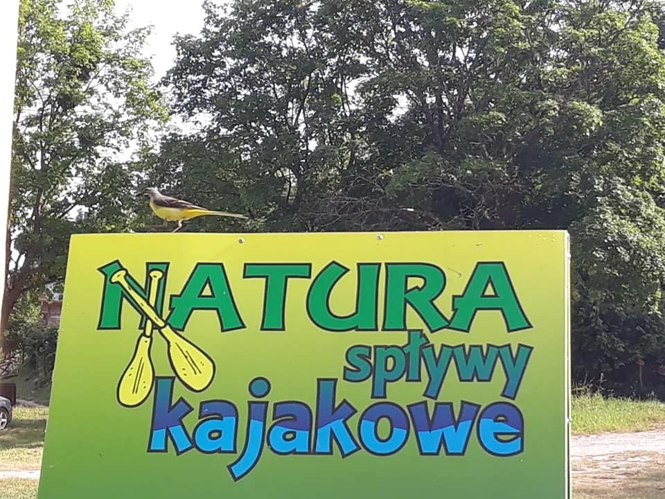 Spływy Kajakowe Natura - zdjęcie galerii