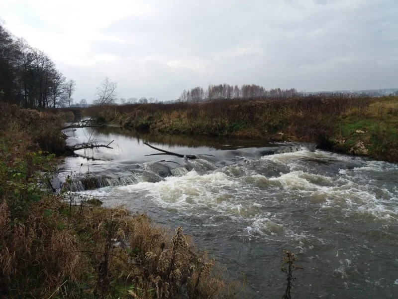 Zdjęcie trasy Liswarta Starokrzepice – Danków 1