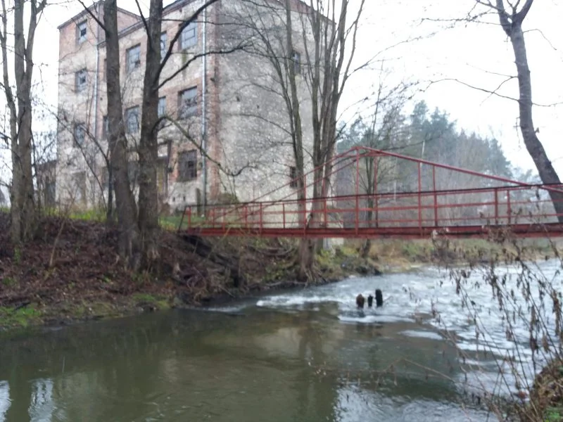 Zdjęcie trasy Warta Wąsosz – Działoszyn 1