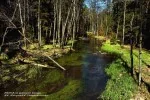 Zdjęcie trasy Brda: Swornegacie → Mylof 1