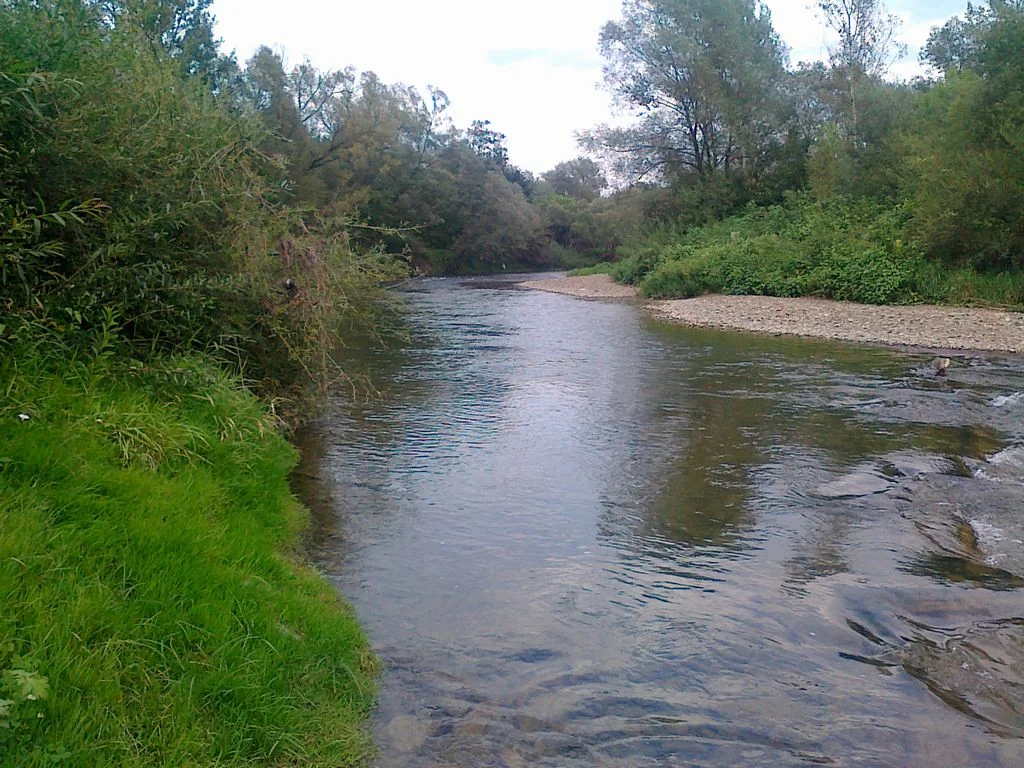 Jasiołka: Roztoki → Jasło