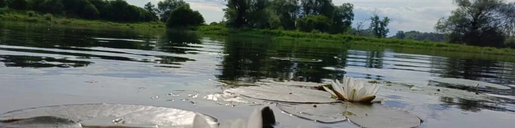 Zdjęcie trasy Kamieńczyk – Barcice (Bug) 1