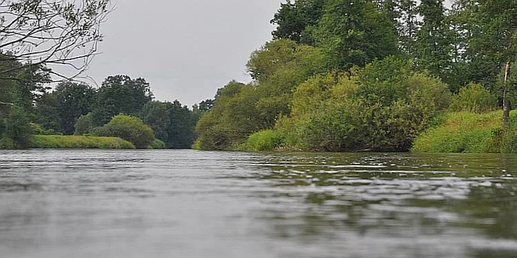 Zdjęcie trasy Krzeczów - Konopnica 1