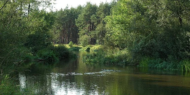 Zdjęcie trasy Osjaków - Burzenin 1