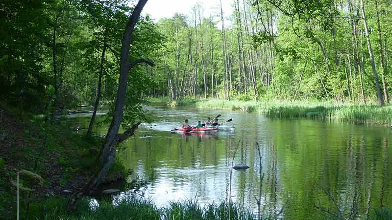 Krutyń → Iznota